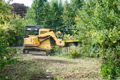 Experienced Land Clearing Contractors