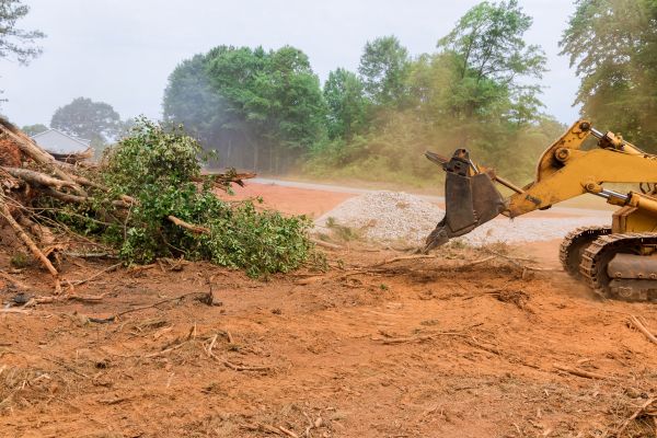 Ground Clearing in Birmingham