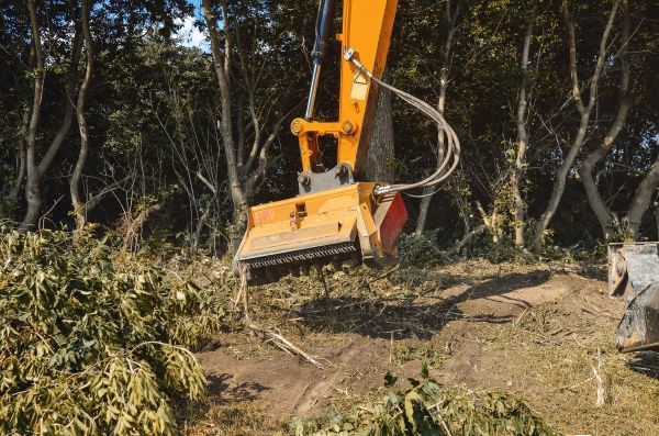 Brush Removal Service in Birmingham