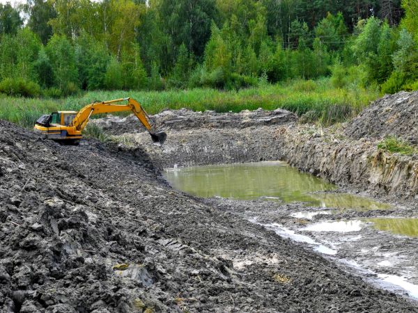 Cost of Lake Lot Clearing in Birmingham
