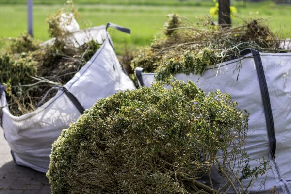 Bushes Clearing in Birmingham
