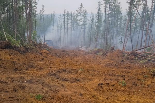 Cost of Hill Clearing in Birmingham
